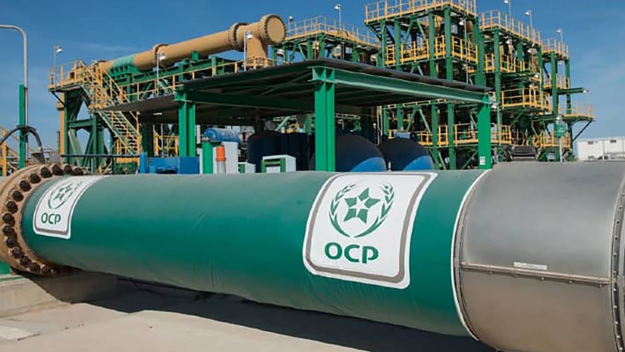 Le géant marocain des engrais OCP ne tremble pas malgré un contexte des plus incertains
