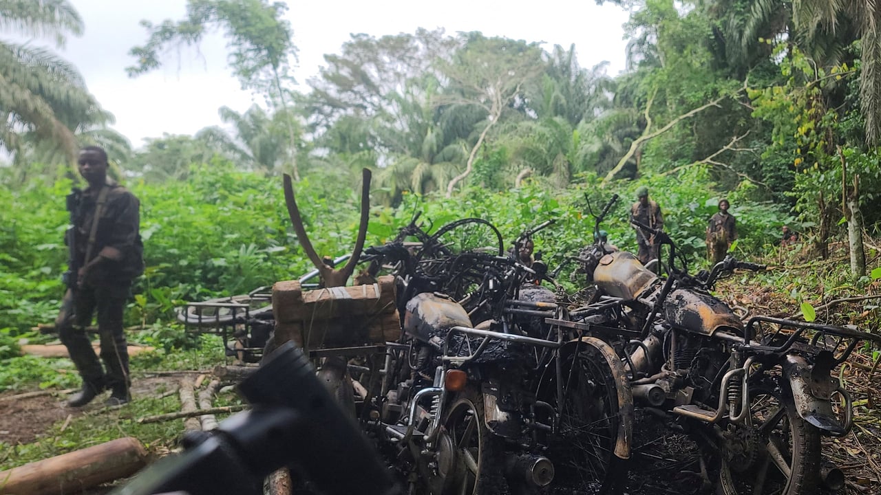 Est de la RDC : la lutte contre les ADF, une guerre oubliée ?