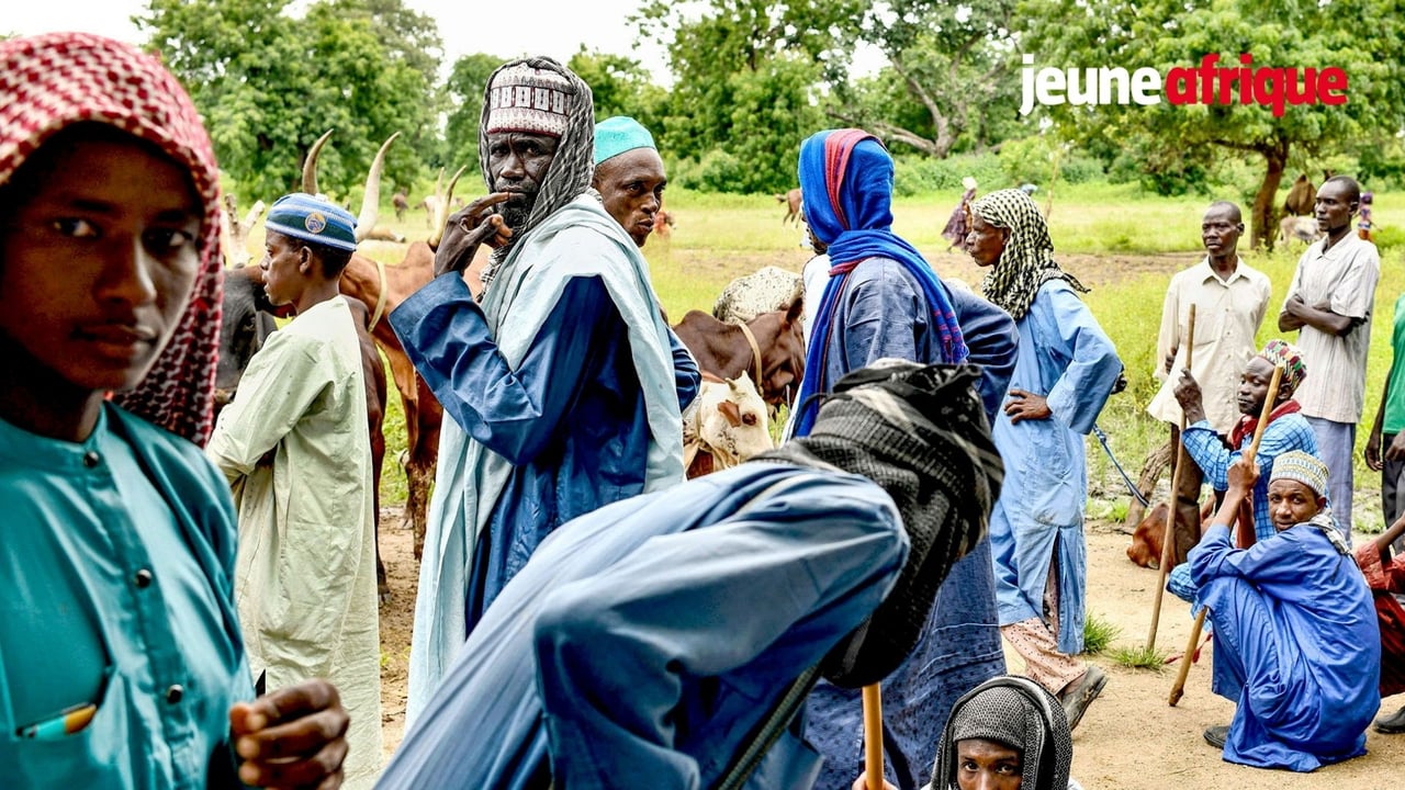 Au Cameroun, la persécution silencieuse des Mbororos