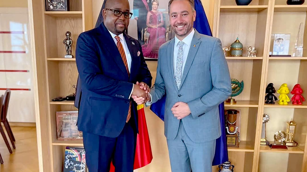Neutralisation des FDLR en RDC : les discrètes manœuvres diplomatiques de Kinshasa