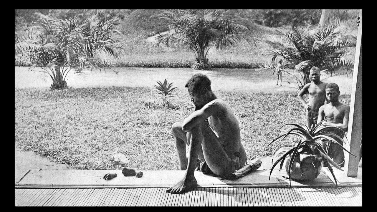 Photographie : 1904, l’horreur de la colonisation du Congo dans l’objectif de la missionnaire Alice Seeley Harris