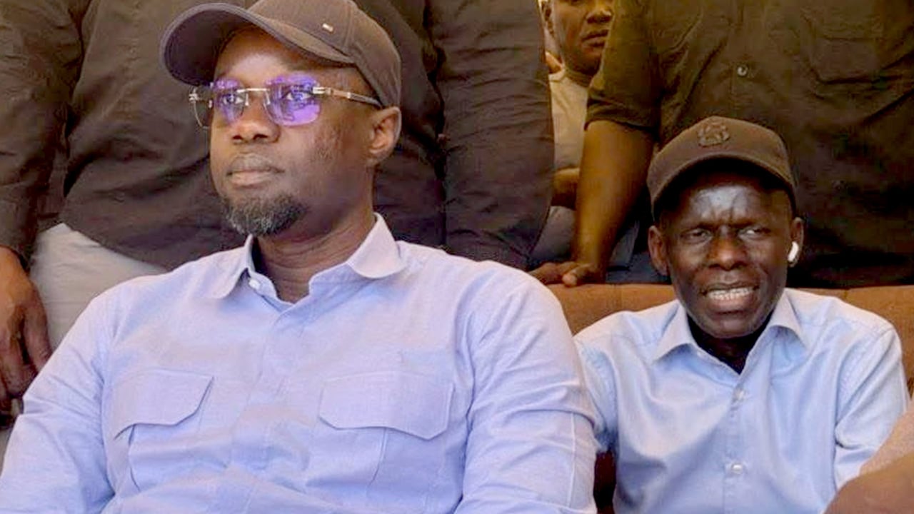 « Mon périmètre politique s’arrête à Ousmane Sonko » : Waly Diouf Bodiang, bouclier du Premier ministre sénégalais
