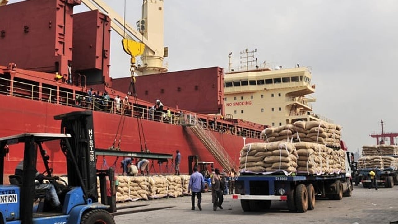 Ecobank Capital : vers une production de cacao record en Côte d'Ivoire - Jeune Afrique