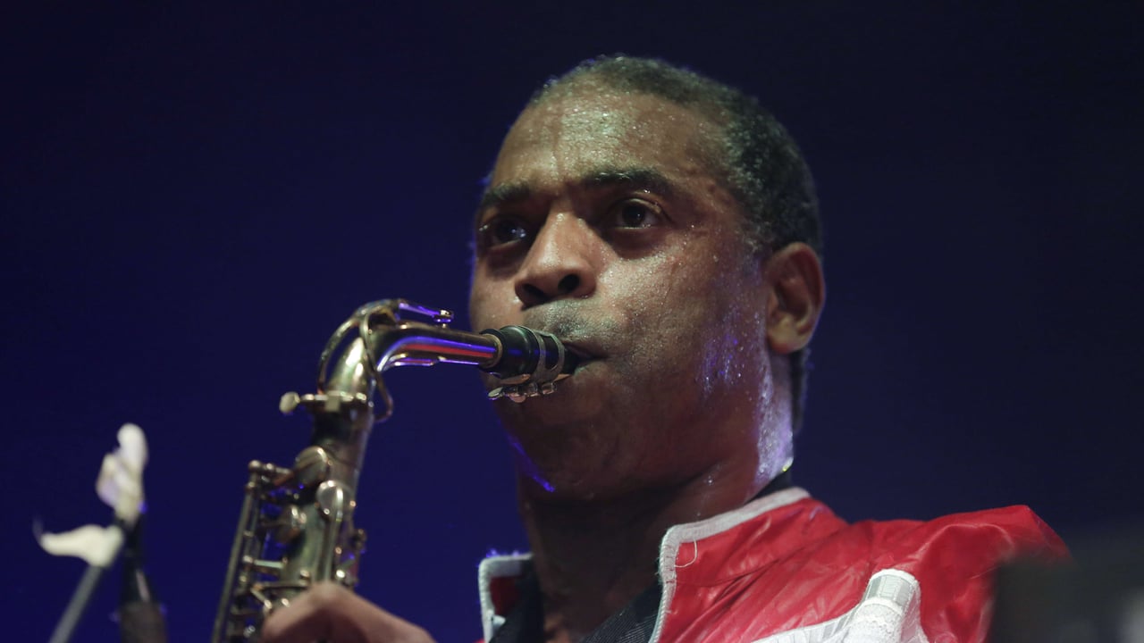 Musique : le nouvel album de Femi Kuti, afrobeat à contretemps