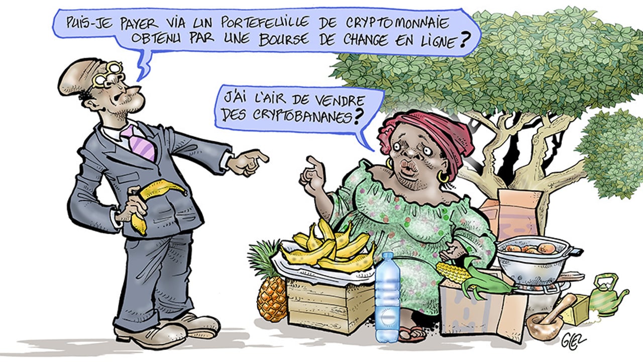 Cryptomonnaies, cryptomirage ?