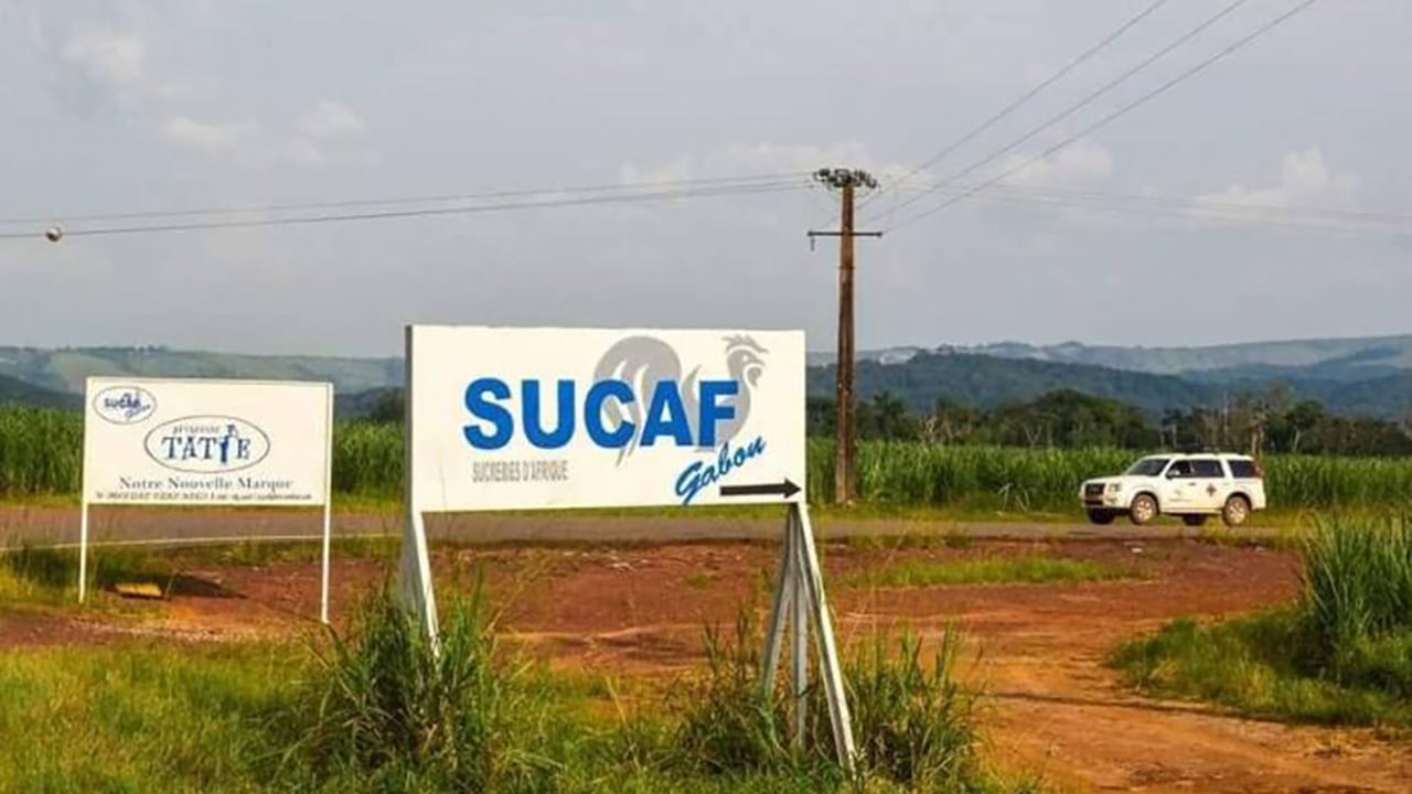 Au Gabon, la junte tourne la page Somdia pour relancer la Sucaf