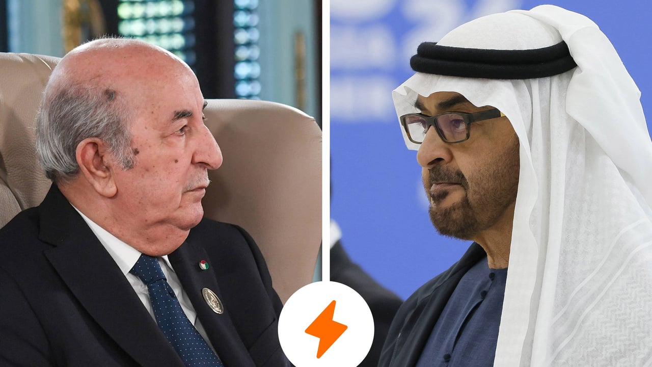 Tebboune vs MBZ : entre les faux frères arabes, la guerre froide tourne aux insultes