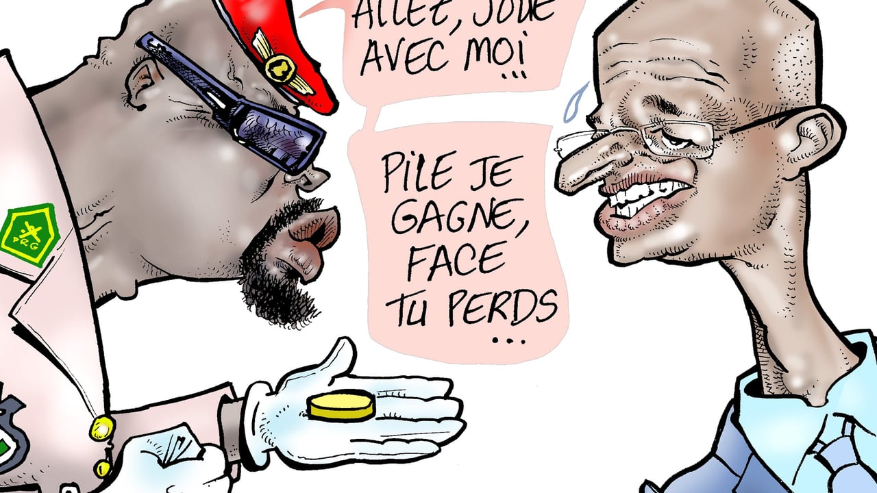Référendum constitutionnel en Guinée : Cellou Dalein Diallo préfère un boycott à un « non »