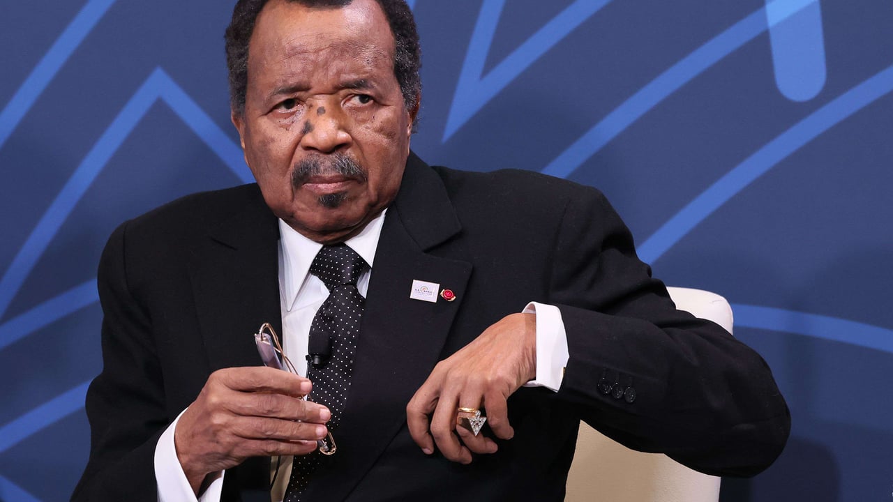 Présidentielle au Cameroun : le RDPC de Paul Biya à la reconquête de la diaspora