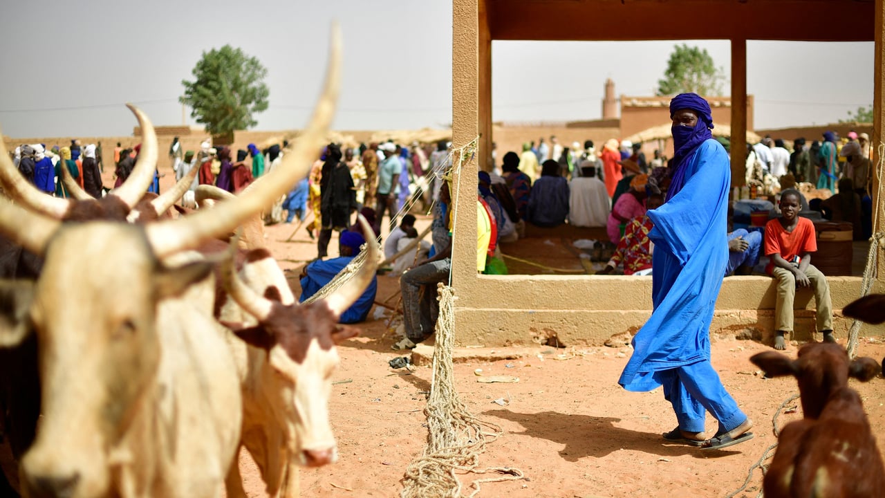Au Mali, quand le chaos sécuritaire nourrit le grand banditisme