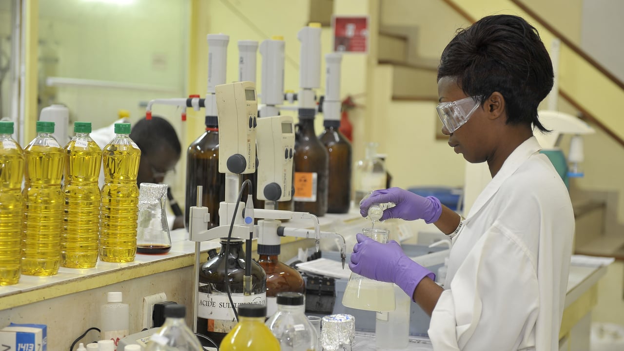 MTN, OCP, Tanger Med, Sifca… Qui sont les champions africains de la RSE ?