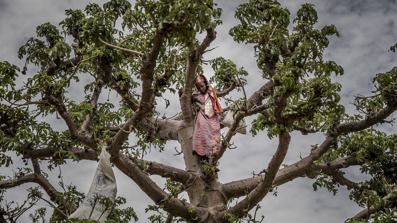 « Nous vivons dans la faim » : au Niger, la pire crise économique depuis une génération