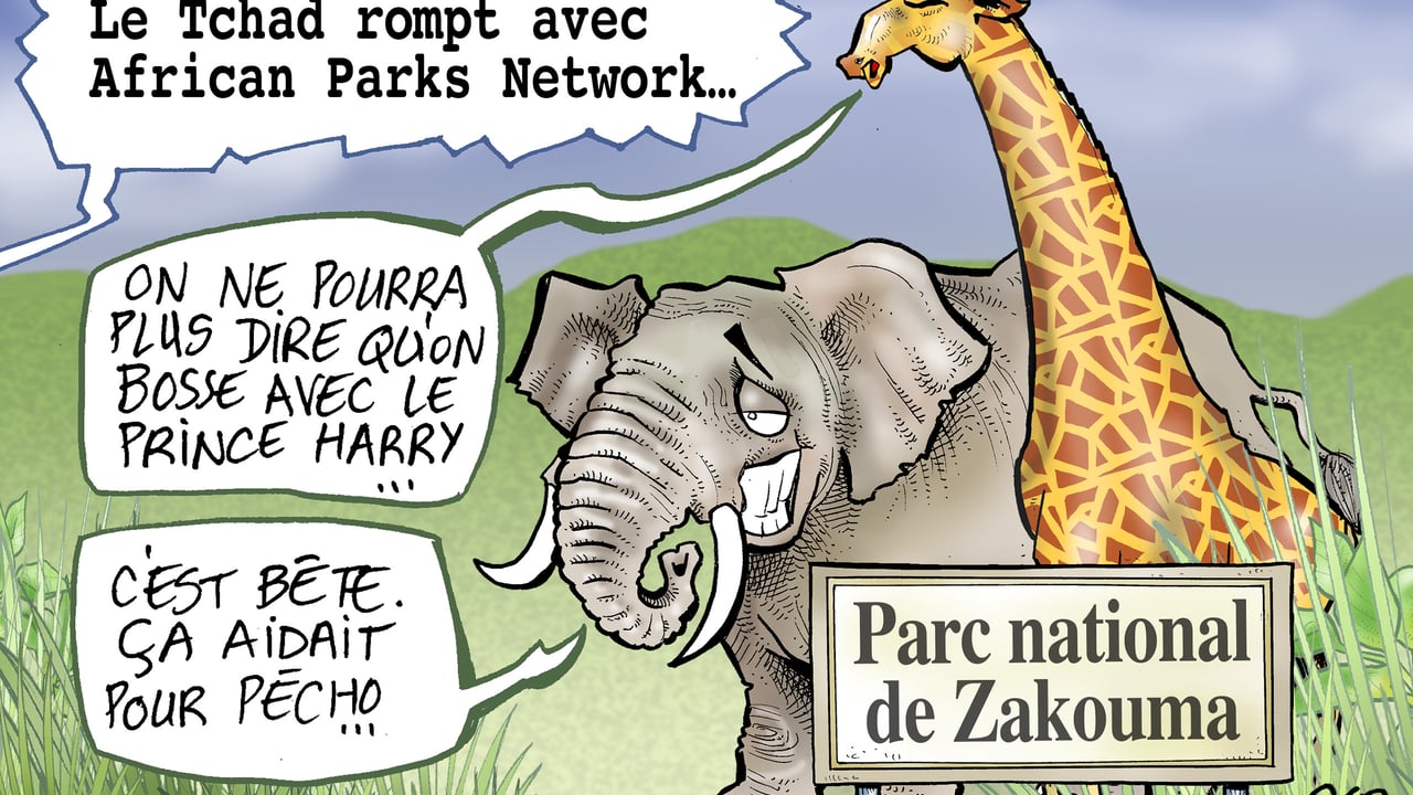 Au Tchad, African Parks sur le banc des accusés d’un néocolonialisme vert