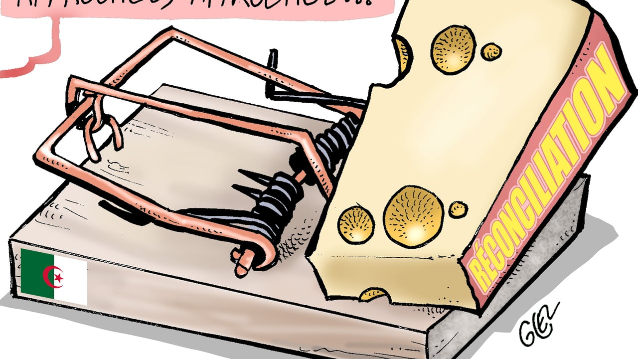 Algérie : Abdelmadjid Tebboune tend une main de fer bienveillante à la diaspora