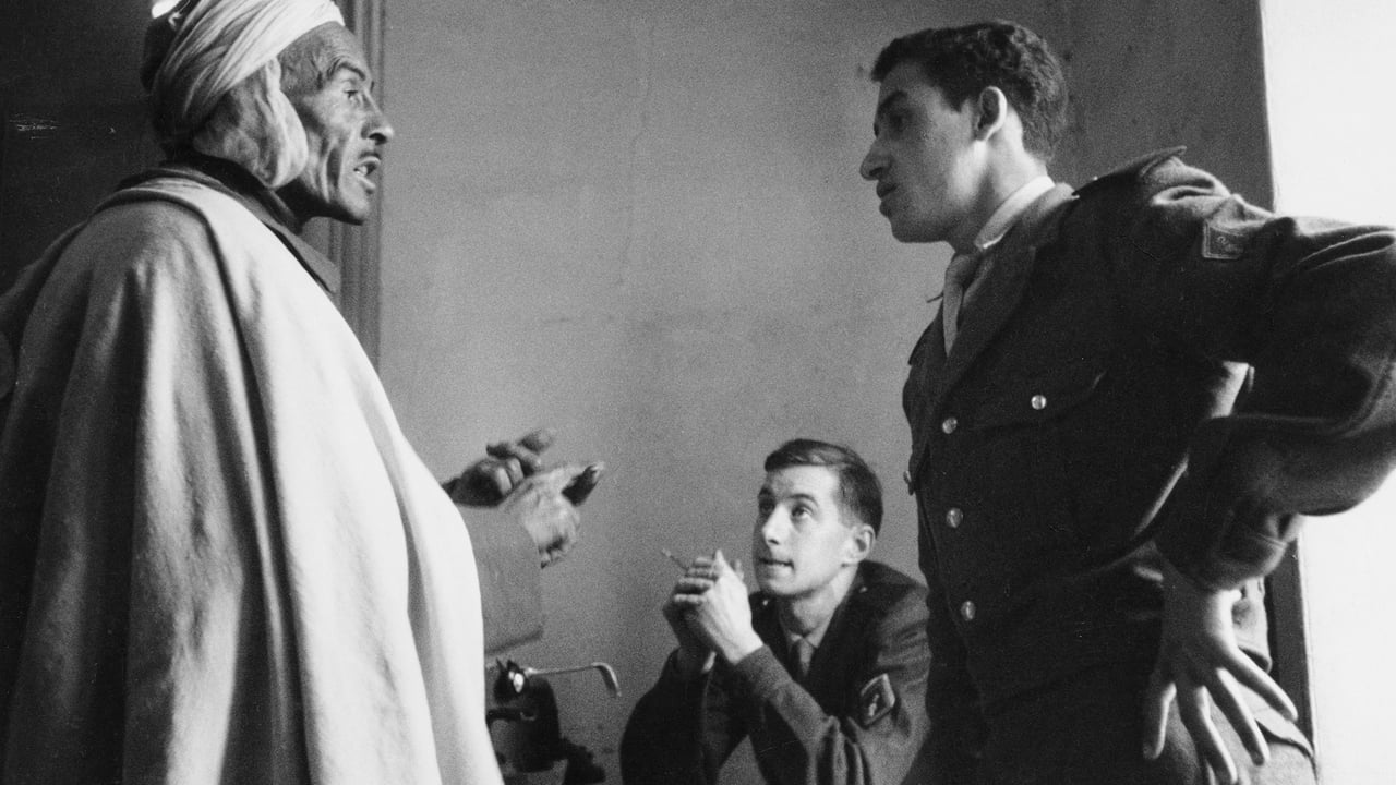 En Algérie, l’exigence d’indemnisation pour la colonisation française bute sur les réserves du Sénat