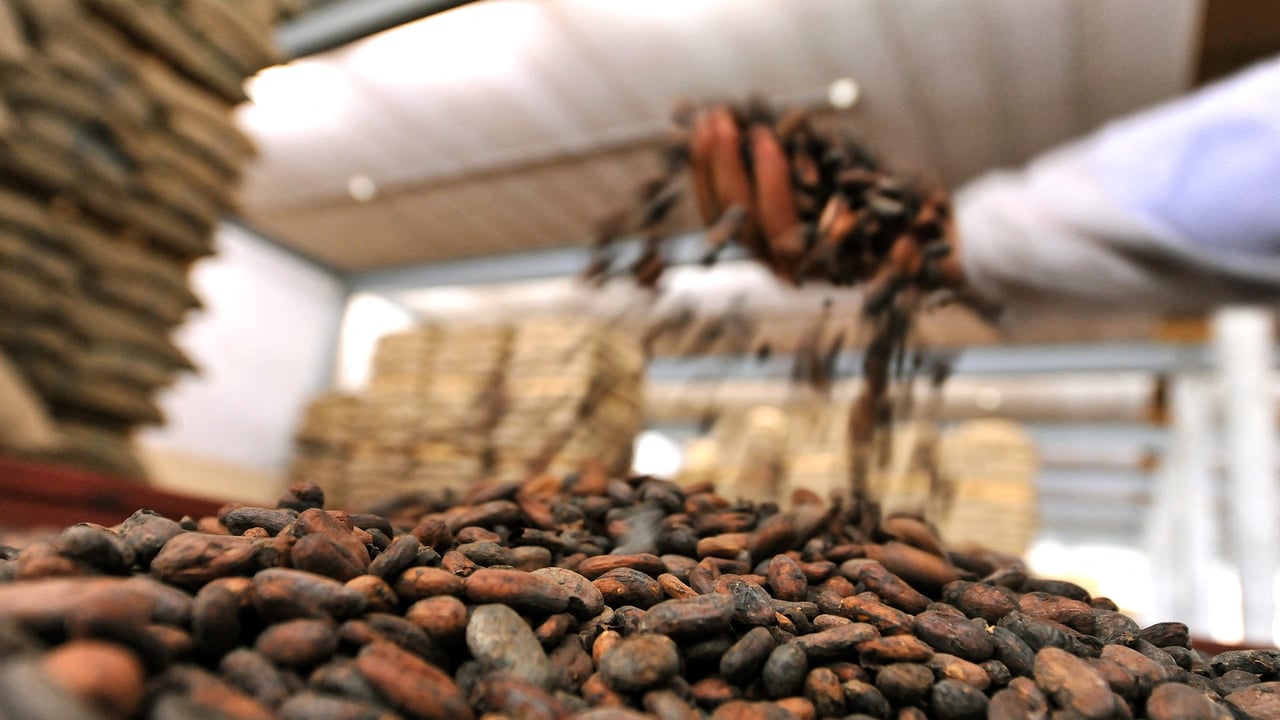 Cacao : Barry Callebaut change de patron mais pas de position
