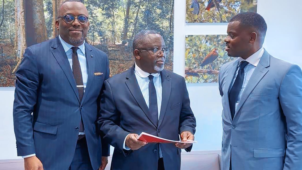 Dette : les dessous du fonds diaspora made in Gabon qui doit soulager les finances publiques