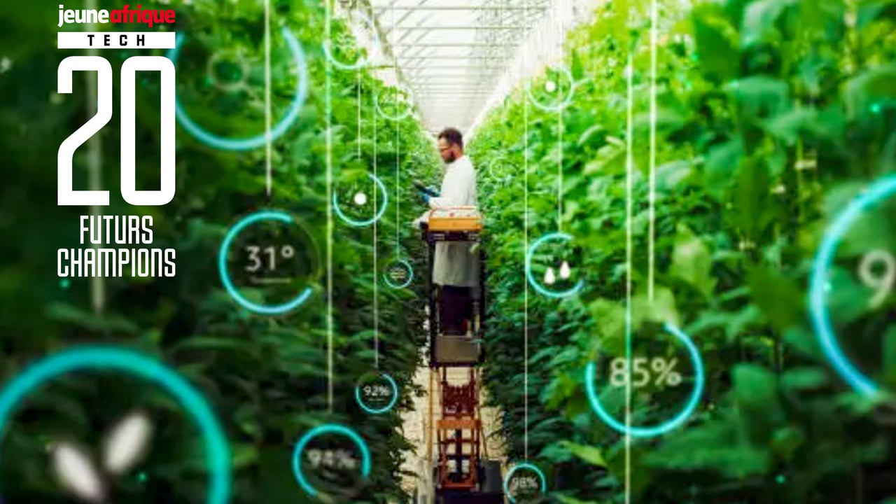 Qui sont les 20 futurs champions de la tech africaine en 2026 ?
