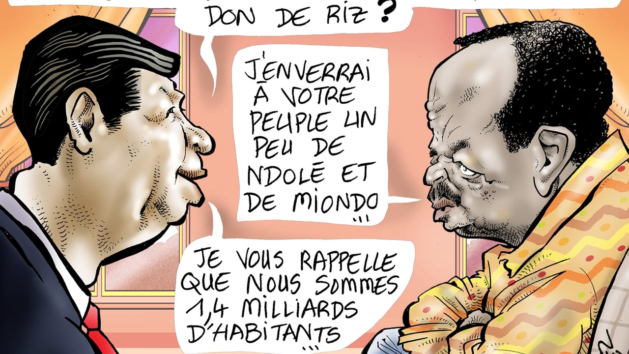 Au Cameroun, un don de riz chinois enflamme les réseaux sociaux