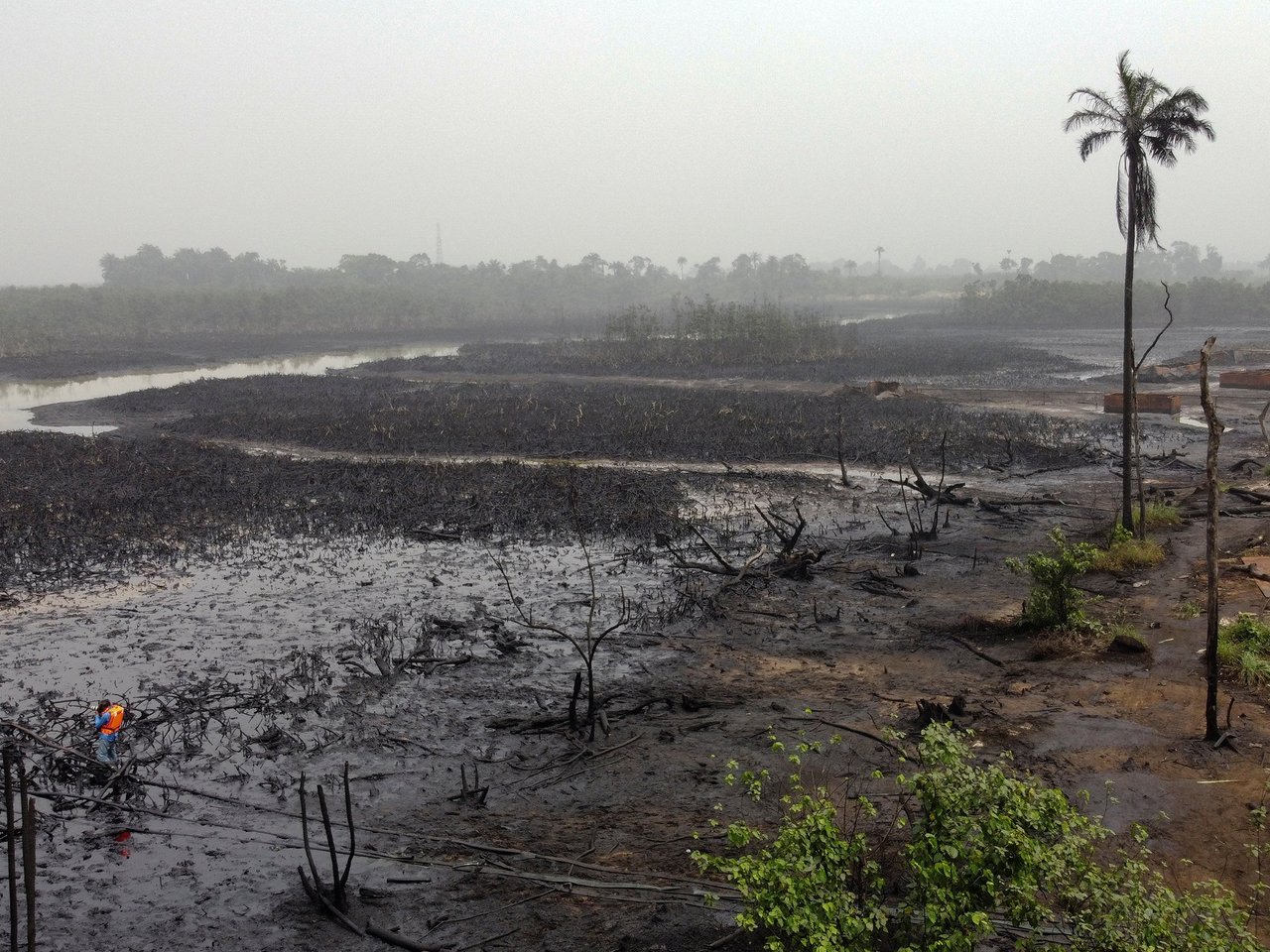jad20240613-tribune-nigeria-africanisati