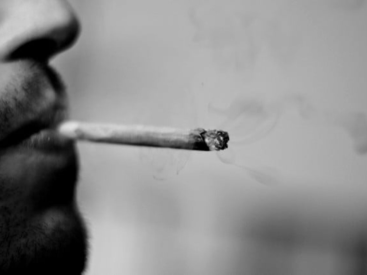 Cannabis : que dit la loi (et où en est le débat) dans les pays du ...