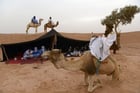 Réunis au Maroc, les nomades célèbrent leur culture pendant trois jours © AFP