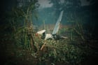 La carcasse de l’avion du président rwandais Juvénal Habyarimana, abattu dans la nuit du 6 au 7 avril 1994. © MONTAGE JA : Archives JA