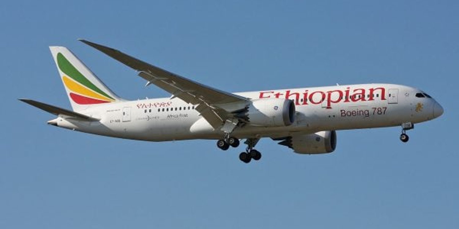 Ethiopian Airlines est le symbole de l’essor de l’Afrique dans le secteur de l’aérien © Kambui