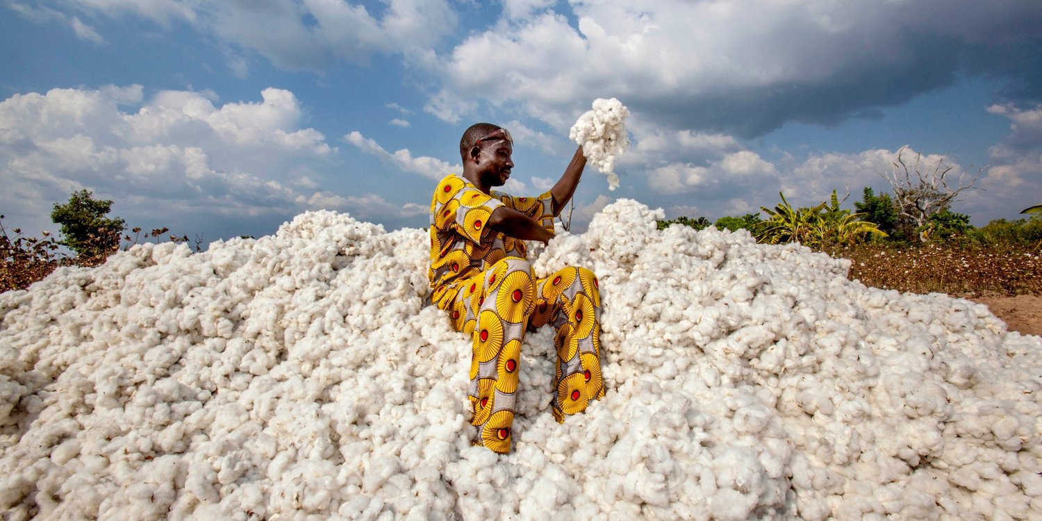 Attade Gantoli, un fermier qui cultive du coton biologique au Bénin © Andrew Esiebo/PANOS-REA