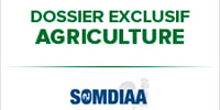 SOMEDIAA_SponsoringDossierAgriculture_225x150