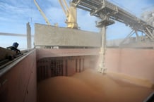 Chargement de blé dans un cargo ivoirien depuis un silo à grain à Nantes, dans l’ouest de la France. © JEAN-SEBASTIEN EVRARD / AFP.