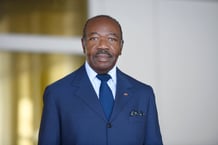 L’ancien président gabonais Ali Bongo Ondimba. © COM PR iD