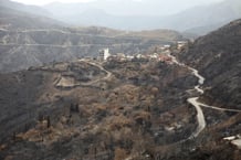 Vue générale après un feu de forêts, à Bejaïa, le 28 juillet 2023. © AFP