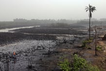Mangrove polluée dans l’État de Rivers, au Nigeria, en janvier 2022. © TIFE OWOLABI/REUTERS.