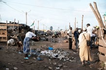 Marché des petits ruminants, abattoir de Port-Bouet, Abidjan, 30 mai 2024. © Hadrien Degiorgi.