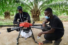 En Côte d’Ivoire, l’entreprise Jool propose à ses clients un accès instantané à leurs exploitations grâce aux drones. © Facebook Jool International