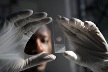 À l’Ifakara Health Institute, à Bagamoyo, en Tanzanie, en octobre 2009. © Tony Karumba/AFP