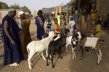 Un village de Soninkés en Mauritanie © Pierre GLEIZES/REA