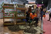 Un producteur ivoirien de noix de cajou, lors du salon international de l’agriculture d’Abidjan, le 25 mai 2025. © Issouf SANOGO / AFP