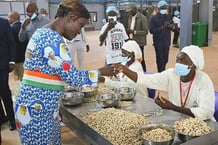 Inauguration d’une usine de transformation de noix de cajou de Al Sayegh Group en Côte d’Ivoire, le 12 juillet 2024. © Al Sayegh Group