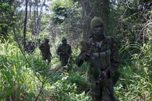 Des soldats de la Force de défense du peuple ougandais (UPDF) patrouillent dans la jungle centrafricaine à la recherche de combattants de l’Armée de résistance du Seigneur (LRA), le 24 juin 2014. © Michele SIBILONI / AFP