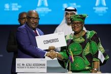 La directrice de l’OMC, Ngozi Okonjo-Iweala, avec le président de l’union des Comores, Azali Assoumani, en février 2024.