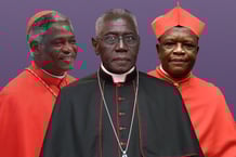 Trois Africains figurent parmi les outsiders cités pour succéder au pape François : le Guinéen Robert Sarah, archevêque de Conakry, le Congolais Fridolin Ambongo, archevêque de Kinshasa, et le Ghanéen Peter Tuckson, archevêque de Cape Coast. © Montage JA ; Cardinal Turkson Facebook ; Andrew Medichini/AP/SIPA ; Tiziana FABI / AFP