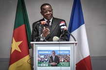 Maurice Kamto a multiplié les appels du pied à la diaspora, promettant la possibilité pour les Camerounais qui en sont issus d’être représentés au Parlement ou la création d’une Agence nationale des Camerounais de l’étranger (ANCE). © STEPHANE DE SAKUTIN / AFP