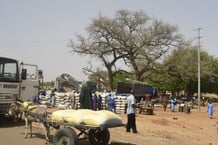Sur le marché de la ville de Téra, dans le sud-ouest du Niger, près du Burkina Faso, en juin 2022. © BOUREIMA HAMA / AFP