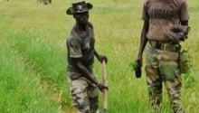 Des soldats sénégalais plantent les premiers arbres de la Grande Muraille verte. © AFP