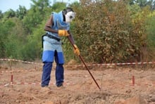 Casamance, un conflit « oublié » qui mine le Sénégal depuis 30 ans © AFP