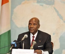 Mali et Guinée-Bissau: des ministres ouest-africains planchent à Abidjan © AFP