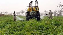 Selon la société française Trendeo, qui va lancer un observatoire mondial, 45 millions d’hectares ont fait l’objet de transactions en Afrique subsaharienne. © AFP