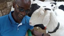 Ismaila Sy, chef d’entreprise sénégalais, en compagnie de sa brebis préférée. © Maud Jullien pour J.A.